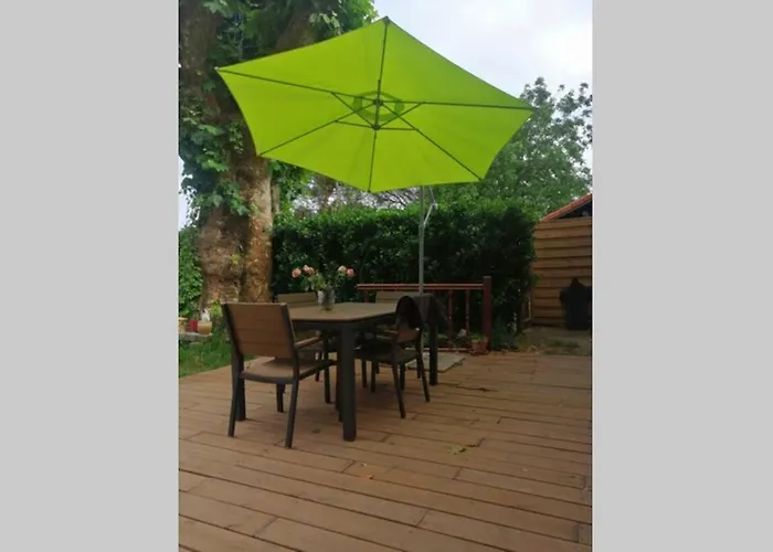 L'antre De L'artiste - Calme & Nature -maisonnette Confort Bénesse-Maremne